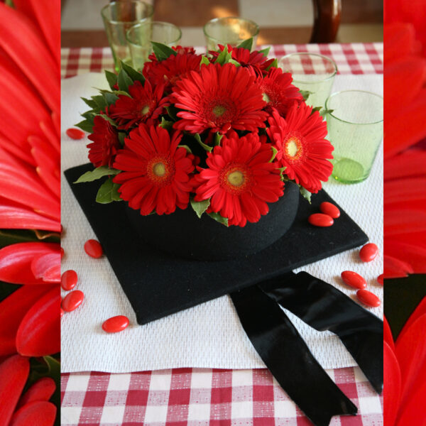 Idea per festa di laurea